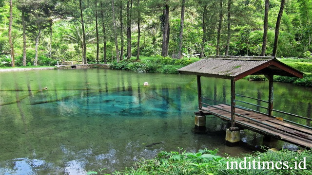Telaga Rambut Monte: Pesona Alam dan Warisan Budaya di Blitar